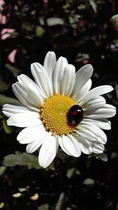 2010051508400000.jpg