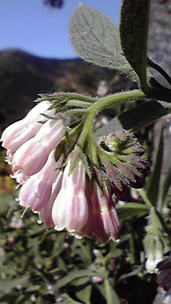 2010051508480000.jpg