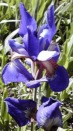 2010051508490000.jpg