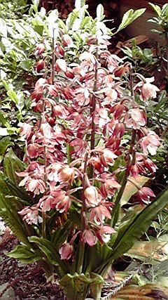 2010051513360000.jpg