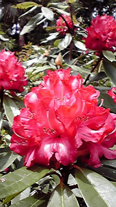 2010051513380000.jpg