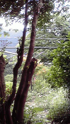 2010051513210000.jpg