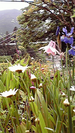 2010051513460000.jpg
