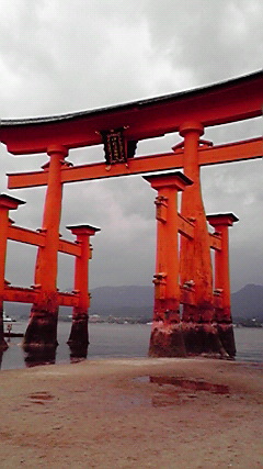 2010052414290000.jpg