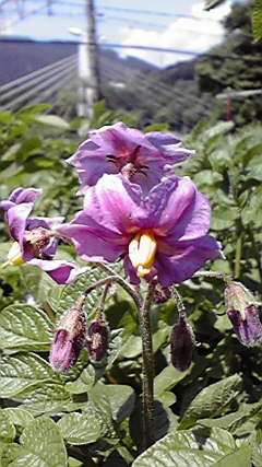 2010060409580000.jpg