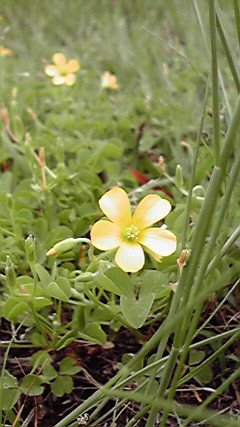 2010060812370000.jpg
