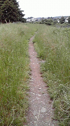 2010060812440000.jpg