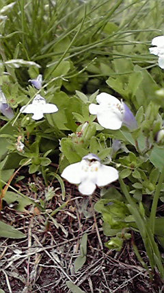 2010061112300000.jpg