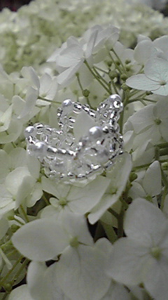 2010063012410000.jpg