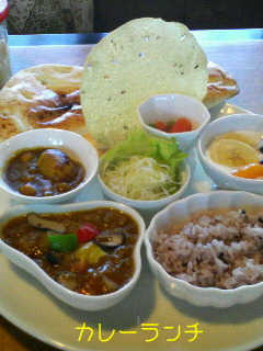 201009041206000.jpg