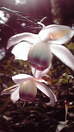 2010091010570000.jpg