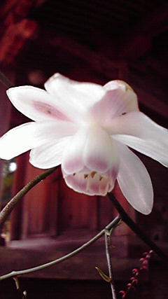 2010091011560000.jpg