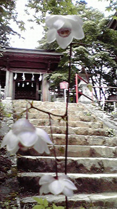 2010091011590000.jpg