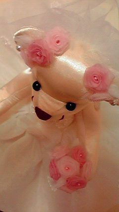 2010092818430000.jpg