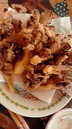 2010101111300000.jpg